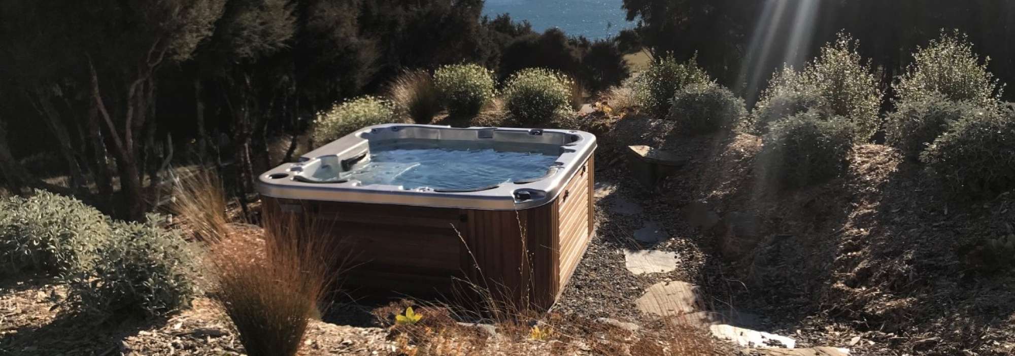 Swim Spa Pool Otago