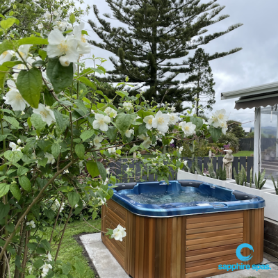 Spa pool in a beautifully landscaped backyard thanks to the team @ Paramount Pools Tauranga NZ