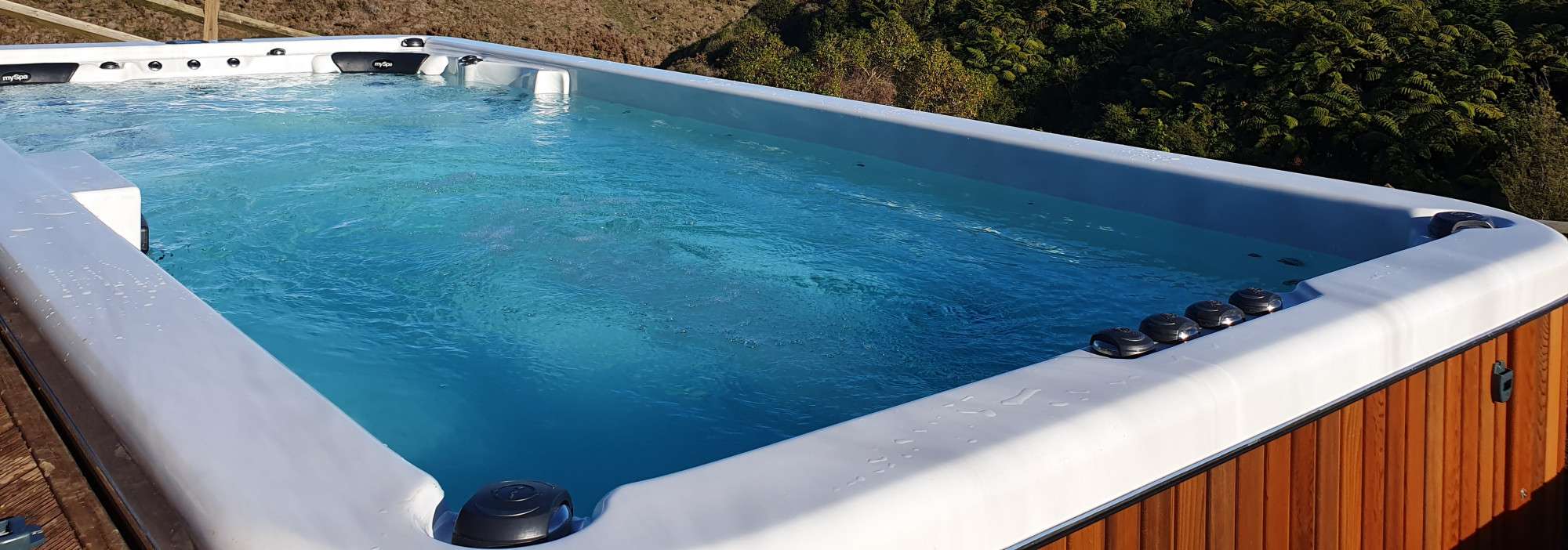 Swim Spas