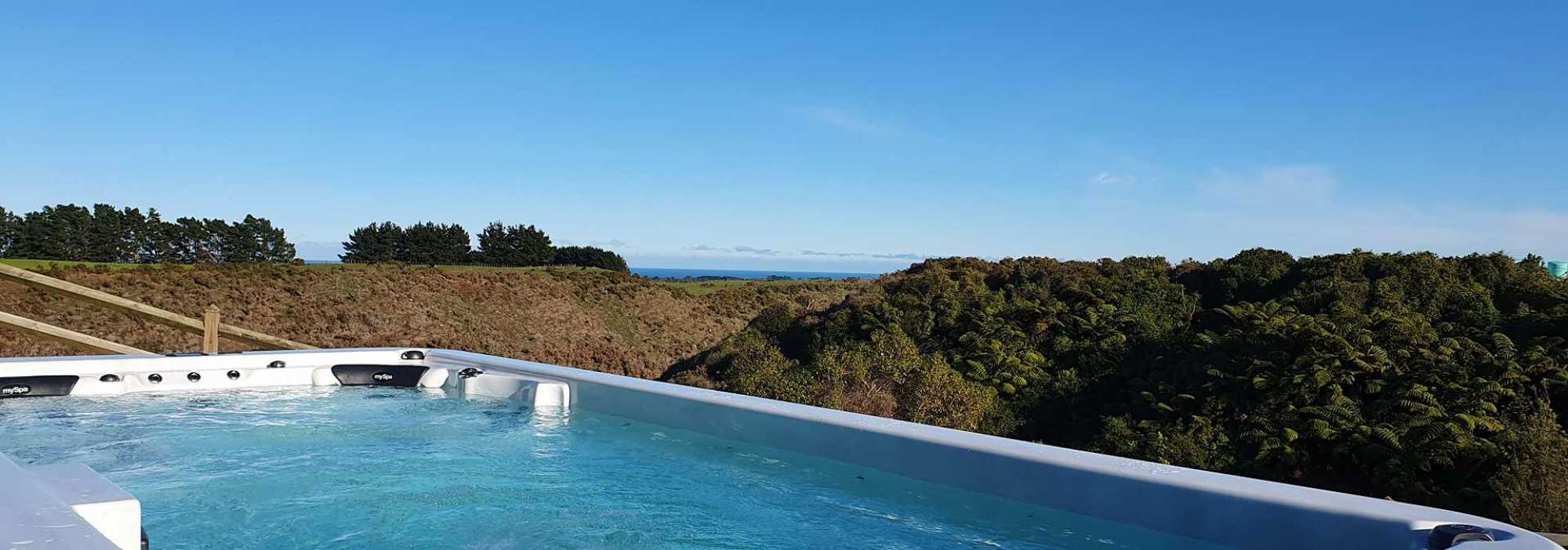 Swim Spas